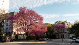 La máxima llegará a 23° este miércoles.