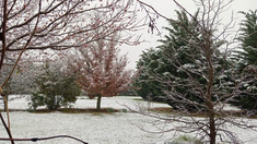 Córdoba y la sorpresa por la nieve. Córdoba y la sorpresa por la nieve.