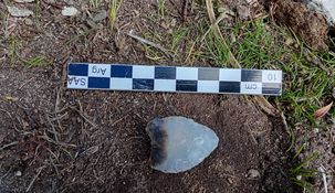 El material hallado en el territorio de Río Negro.