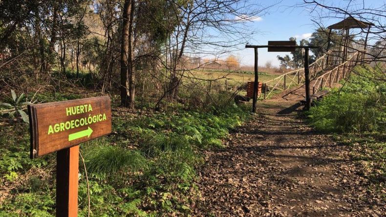 Un lugar ideal para apreciar la naturaleza
