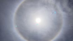 Los mecanismos físicos que producen un halo solar son la reflexión y la refracción en los pequeños cristales de hielo que constituyen las nubes altas de tipo cirrus. Los mecanismos físicos que producen un halo solar son la reflexión y la refracción en los pequeños cristales de hielo que constituyen las nubes altas de tipo cirrus.