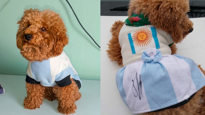 Pupe tiene dos años y viajó desde Arequito