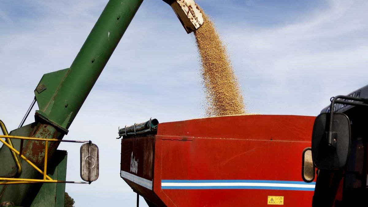 Afirman que la baja de las retenciones generará un 