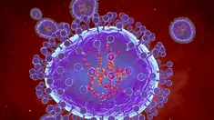 Alerta mundial por un brote de metapneumovirus humano proveniente de China Alerta mundial por un brote de metapneumovirus humano proveniente de China