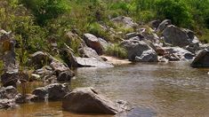 Mayu Sumaj no necesita mucho para enamorar: solo hay que estar ahí, dejarse llevar por el sonido del río y mirar alrededor. Mayu Sumaj no necesita mucho para enamorar: solo hay que estar ahí, dejarse llevar por el sonido del río y mirar alrededor.