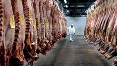 La exportación de carne cayó un 7,5% durante el primer trimestre de 2025