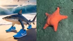 Tralalero Tralala y la estrella del Conicet sorprendieron durante las Elecciones 2025. Tralalero Tralala y la estrella del Conicet sorprendieron durante las Elecciones 2025.