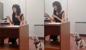 Llevó a su perro a su defensa de tesis y se volvió viral. Llevó a su perro a su defensa de tesis y se volvió viral.