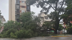 el Gobierno porteño recordó llamar al 103 en casos de emergencia por tormenta. el Gobierno porteño recordó llamar al 103 en casos de emergencia por tormenta.