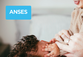 Anses confirmó los montos con aumento de las APU para enero 2026. Anses confirmó los montos con aumento de las APU para enero 2026.