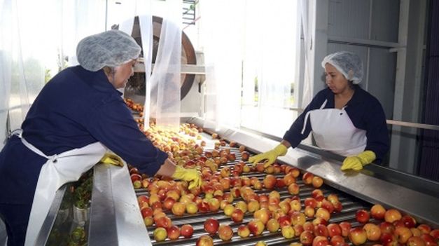 El Gobierno autorizó un pago extraordinario para beneficiarios de Potenciar Trabajo
