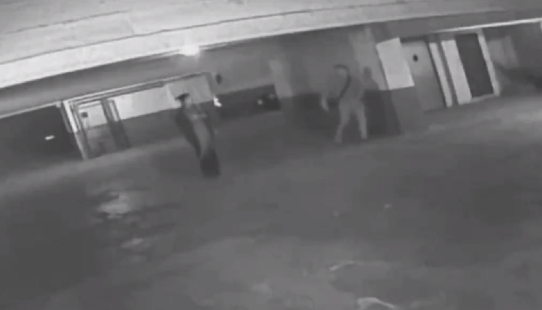 Una viuda negra durmió a un hombre y desvalijó su departamento en Mar del Plata.