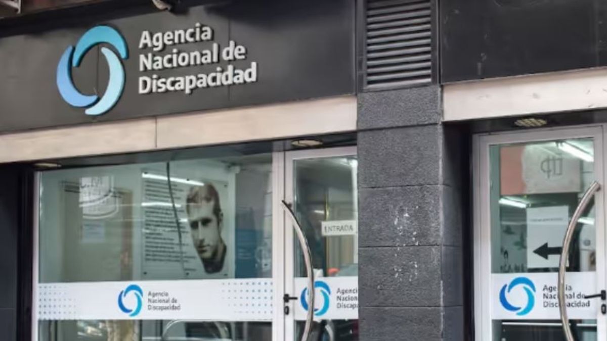 ANDIS: detectan sobreprecios de hasta 4239% en compras de andadores, sillas de ruedas y prótesis