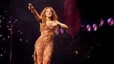 Durante su carrera, Shakira combinó disciplina física, evolución estilística y una destacada trayectoria musical, consolidándose como un ícono global. Durante su carrera, Shakira combinó disciplina física, evolución estilística y una destacada trayectoria musical, consolidándose como un ícono global.