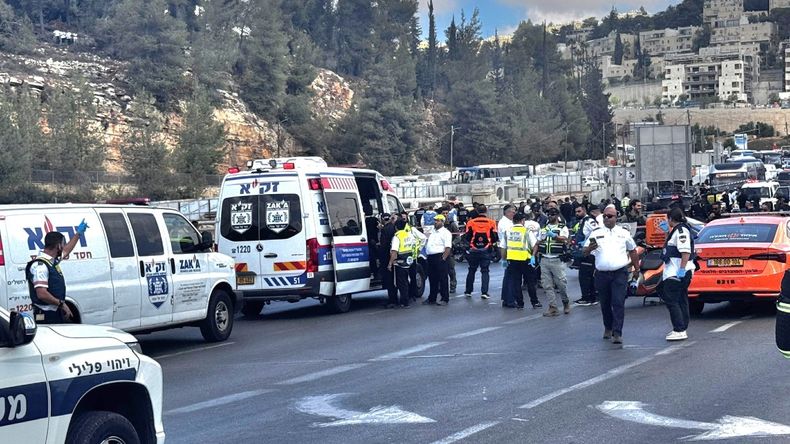 Por el atentado murió Sarah Mendelson