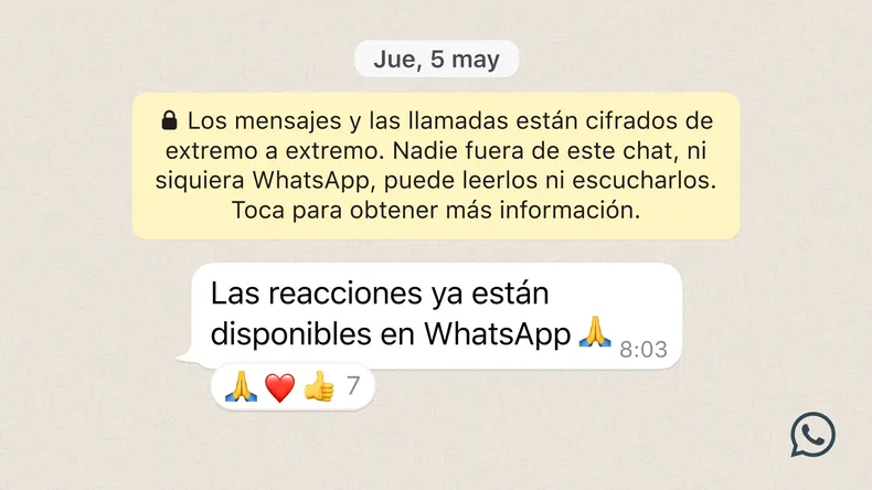 Cómo Desactivar Las Reacciones De Whatsapp En Tres Pasos 0487