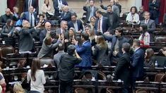 Insultos y agravios en la Cámara alta.