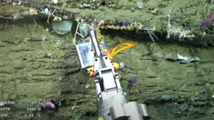 La expedición del cañón submarino de Mar del Plata captó la atención de miles de personas en YouTube. La expedición del cañón submarino de Mar del Plata captó la atención de miles de personas en YouTube.