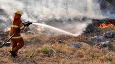 El objetivo es disminuir los impactos devastadores del fuego sobre los ecosistemas. El objetivo es disminuir los impactos devastadores del fuego sobre los ecosistemas.