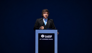 Javier Milei en el IAEF.