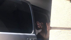 El cantante se presentará este jueves y viernes en le anfiteatro municipal cordobés. El cantante se presentará este jueves y viernes en le anfiteatro municipal cordobés.