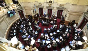 El Senado sesiona desde las 11.