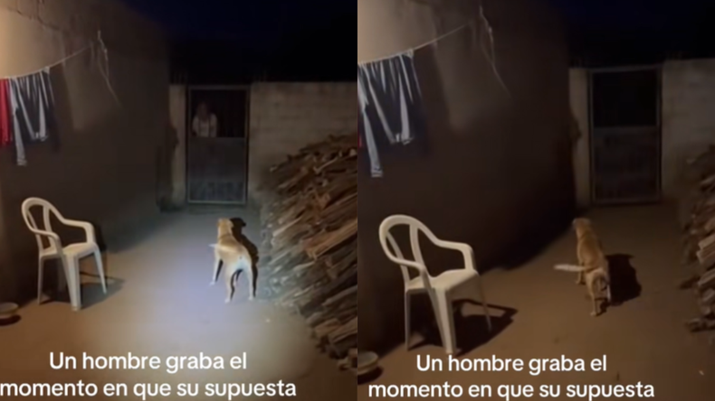 En el video se puede observar el supuesto fantasma de una mujer.