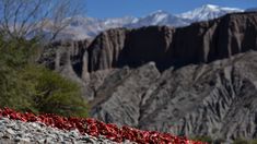 En Salta hay un pueblo tranquilo con calles angostas de tierra y algunas construcciones de adobe ideal para conocer en este verano 2026.