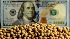 El dólar agro potenció las compras del BCRA. El dólar agro potenció las compras del BCRA.