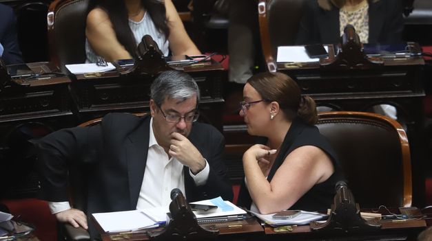 Germán Martínez, jefe del bloque de Unión por la Patria, con Cecilia Moreau.