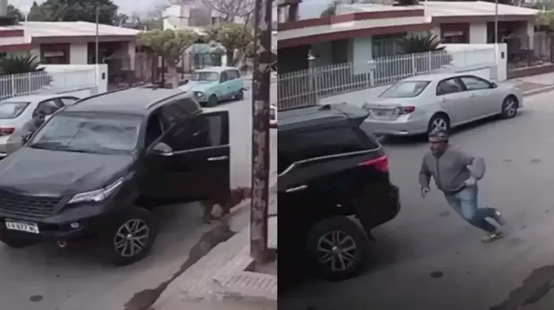 Viral: un perro arrancó una camioneta estacionada.&nbsp;