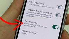 Leé cómo activar esta función en WhatsApp.