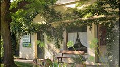 Zenón Videla Dorna tuvo su apogeo en la década de los años 40. Zenón Videla Dorna tuvo su apogeo en la década de los años 40.