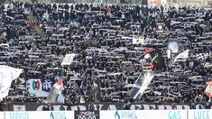 Pesea la derrota con Napoli, la hinchada de Spezia se burló de la muerte deMaradona Pesea la derrota con Napoli, la hinchada de Spezia se burló de la muerte deMaradona