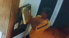 El ladrón quedó registrado por las cámaras de seguridad.