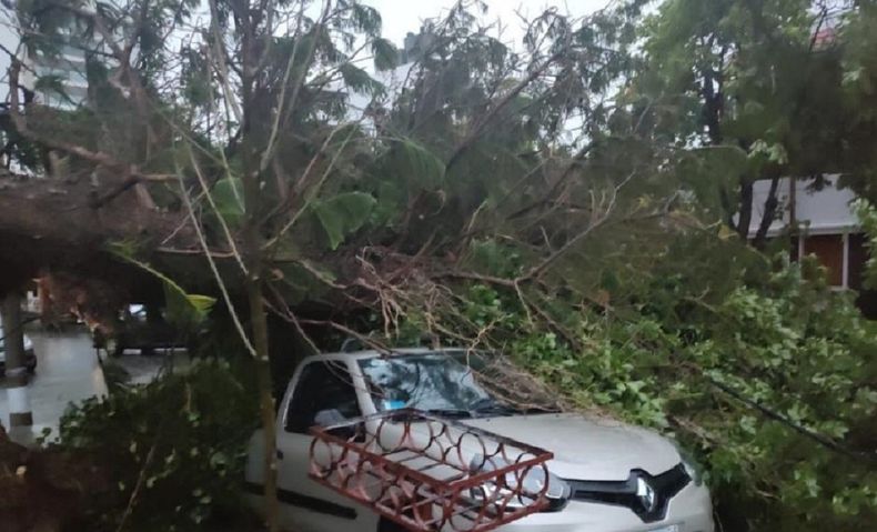 Un temporal azotó a Bahía Blanca.