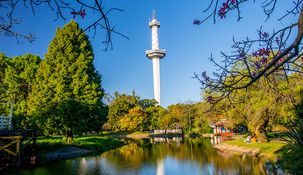 Dónde disfrutar de esta actividad temática de invierno.