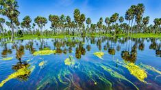 El impactante humedal que tiene Argentina. El impactante humedal que tiene Argentina.