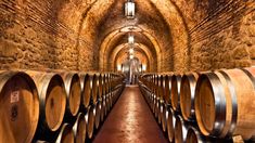 Mendoza tiene 6 bodegas que han sido premiadas internacionalmente. Mendoza tiene 6 bodegas que han sido premiadas internacionalmente.