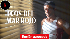 Las nuevas Series agregadas en Netflix
