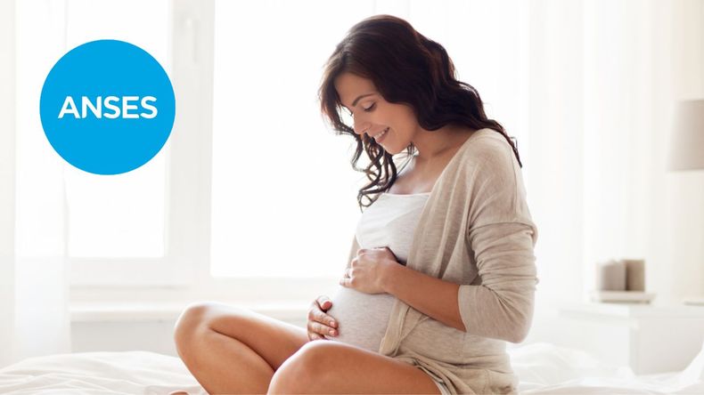 Todos los detalles sobre la Asignación Prenatal de ANSES de octubre 2024.