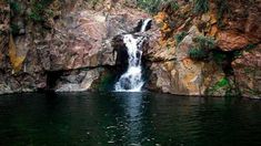 Una reserva en Unquillo, ofrece la posibilidad de avistar una gran diversidad de aves autóctonas. Una reserva en Unquillo, ofrece la posibilidad de avistar una gran diversidad de aves autóctonas.