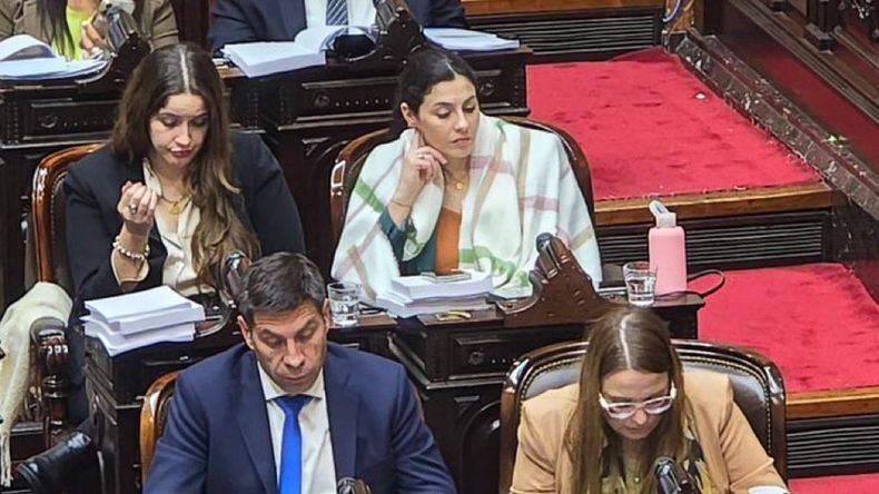 Marcela Pagano llegó al Congreso alrededor de las 8.