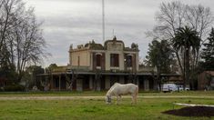 Un pueblito rural, a apenas una hora de la Ciudad de Buenos Aires, ideal para desconectarse. Un pueblito rural, a apenas una hora de la Ciudad de Buenos Aires, ideal para desconectarse.