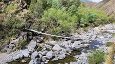 Un lugar imperdible. Un lugar imperdible.