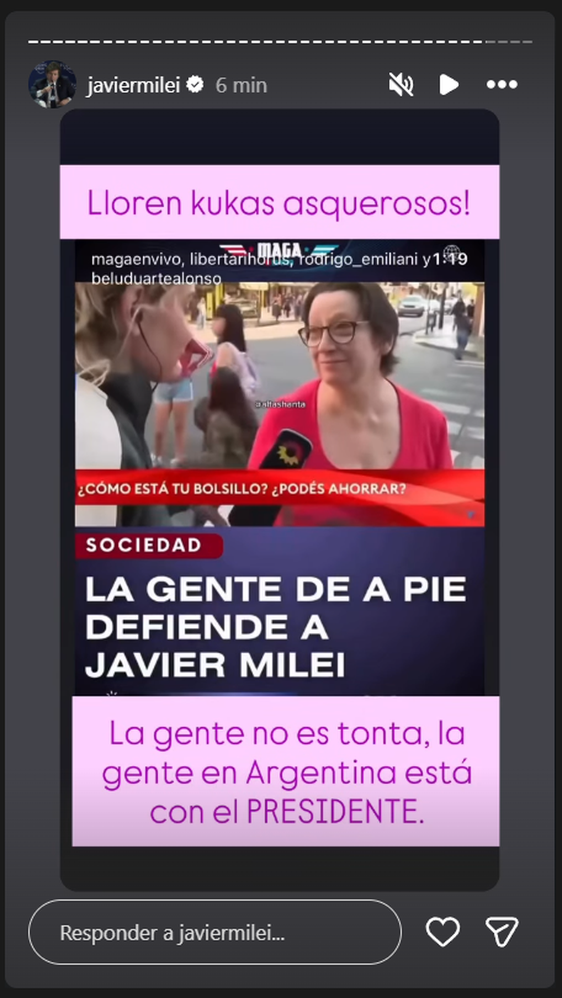 La publicación antikirchnerista que compartió Javier Milei en Instagram.