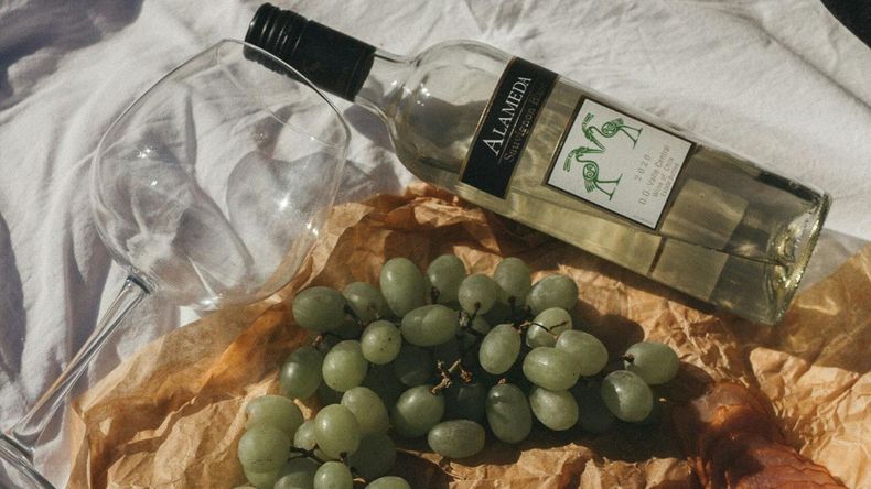 Estas investigaciones desafían la visión negativa que muchas personas tienen sobre estos productos, mostrando que podrían ser aliados importantes para el bienestar a largo plazo.  