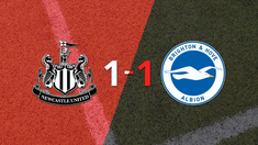 Brighton and Hove empató 1-1 en su visita a Newcastle United