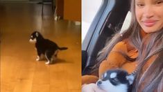 Compró un perro en la frontera y la estafaron: Me di cuenta lo que era....