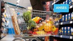 Los beneficiarios de Anses pueden acceder a un reintegro del 10% en sus compras de supermercados y otros rubros adheridos. Los beneficiarios de Anses pueden acceder a un reintegro del 10% en sus compras de supermercados y otros rubros adheridos.